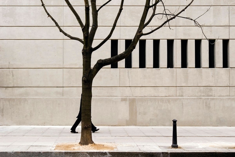 Drzewo, Londyn, 2006, fot. Nils Jorgensen
"Moją uwagę przyciągnął piękny
kształt drzewa, kontrastujący
z geometrycznym wzorem w tle.
Miałem szczęście, trafiając na
mężczyznę częściowo ukrytego
za drzewem".
