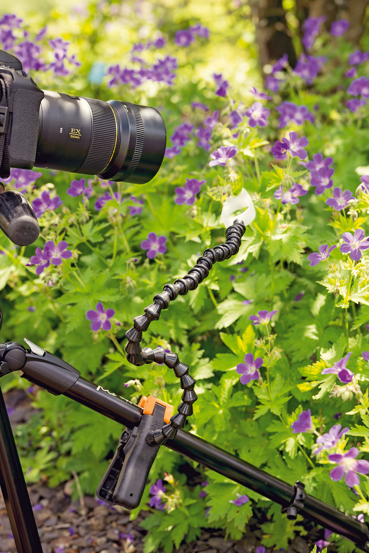 Przytrzymaj
kwiaty
Fotografując w wietrznych
warunkach, nie jest
łatwo wykonać ostre
zdjęcia kwiatów. Można
użyć lampy błyskowej,
aby „zamrozić”
kołyszącą się łodygę,
lub zwiększyć czułość
matrycy. Jest jednak
lepsze rozwiązanie
– przymocowanie rośliny
do statywu. Pomoże
Ci w tym giętkie ramię
do makrofotografii, na
przykład Wimberley
Plamp za ok. 180 zł.