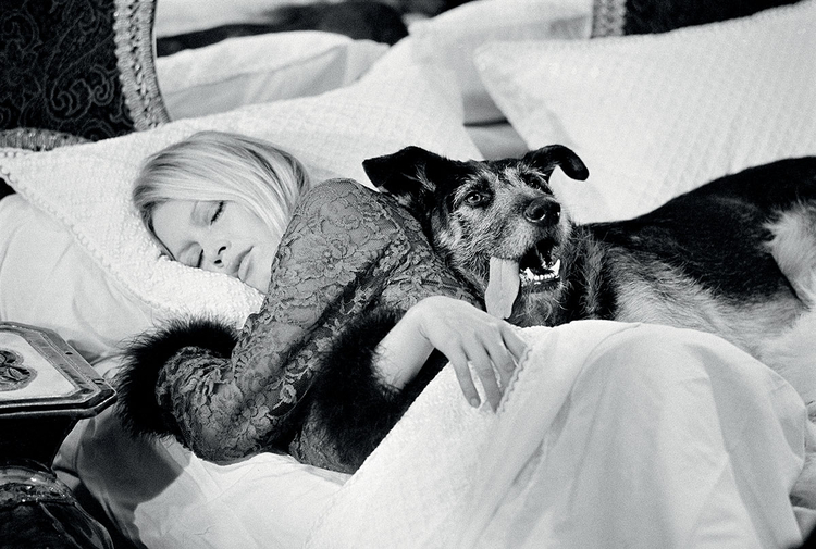 "Pies nie należał do Bardot, lecz do jej makijażystki. Sfotografowałem aktorkę, kiedy udała się na popołudniowy odpoczynek", fot. Terry O'Neill