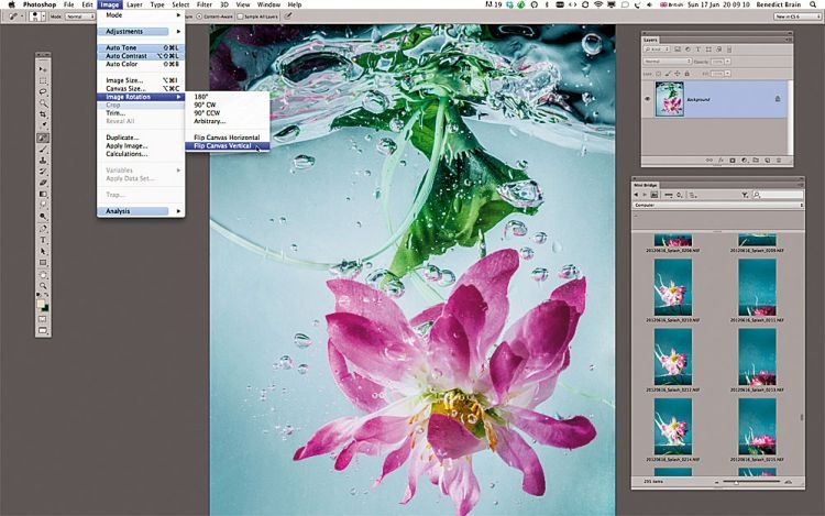 Obrót zdjęcia
Wyedytujcie zdjęcie w Adobe Camera
Raw, otwórzcie w Photoshopie i przekręćcie
do góry nogami: Obraz>Rotacja>Obróć obraz
w poziomie. Sprawi to wrażenie, że kwiatek
wynurza się z wody.