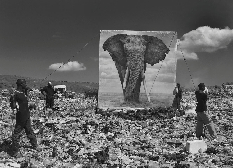 Wysypisko śmieci i słoń, 2015, fot. Nick Brandt