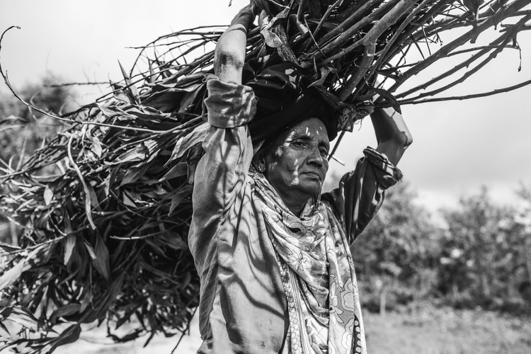 Kobieta znosi drewno z okolicznych lasów.Jest to częsta przyczyna konfliktów z miejscowymi, ponieważ tysiące uchodźców karczują lasy zbierając materiał na opał i do budowy schronień. Obóz Kutupalong (Bangladesz), październik 2013, fot. Marcin Zaborowski