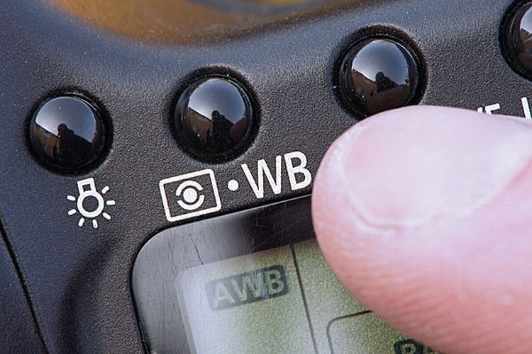 Wciśnijcie przycisk WB (Balans
bieli), znajdujący się u góry lub
na tylnym panelu aparatu.
Za pomocą pokrętła będziecie
mogli zmienić tryb.