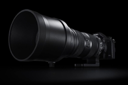 Sigma 150-600 mm f/5-6,3 DG OS HSM - nowy firmware przyspieszy autofokus
