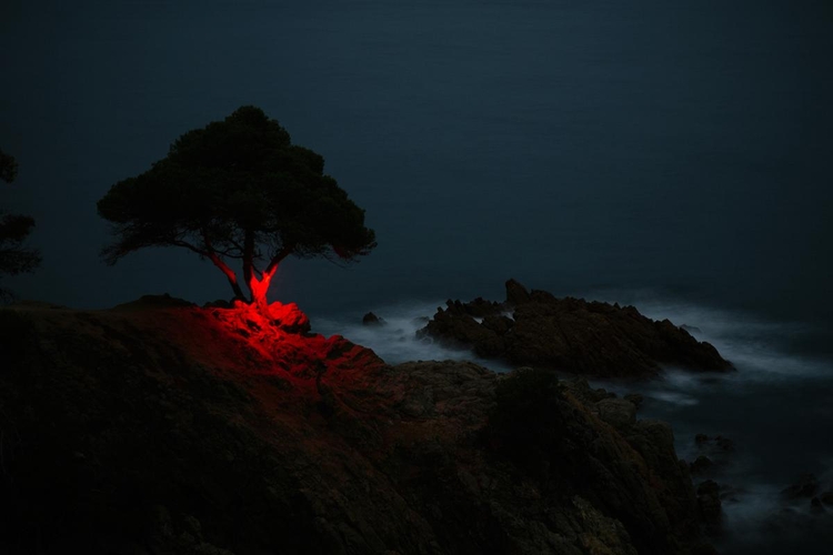 "La línea roja", fot. Nicolas Rivals