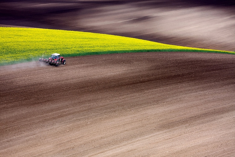 "Tractor", fot. Marcin Sobas
