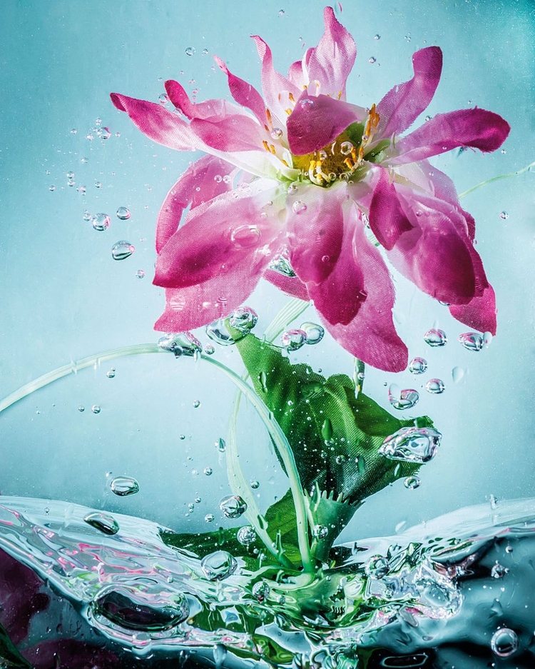 Jak wykonać dynamiczne zdjęcia kwiatów zanurzonych w wodzie