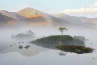 Tajemnicza mgła - jak fotografować mgliste krajobrazy