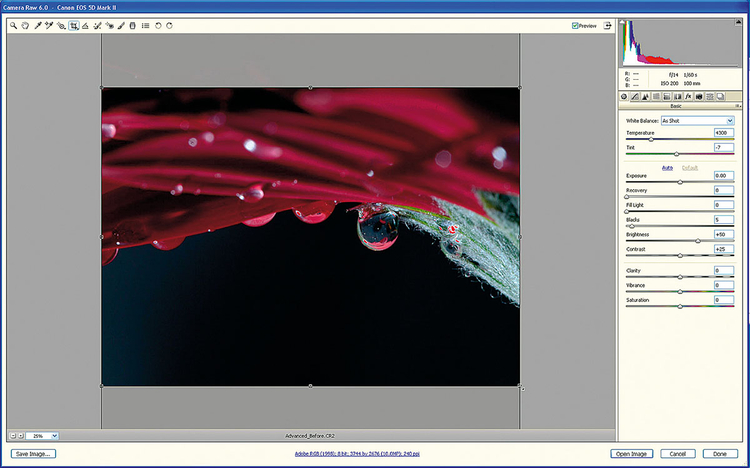 instal the new version for windows Adobe Camera Raw 16.0
