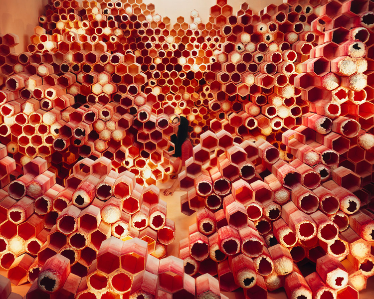 This is Not Enough, fot. JeeYoung Lee