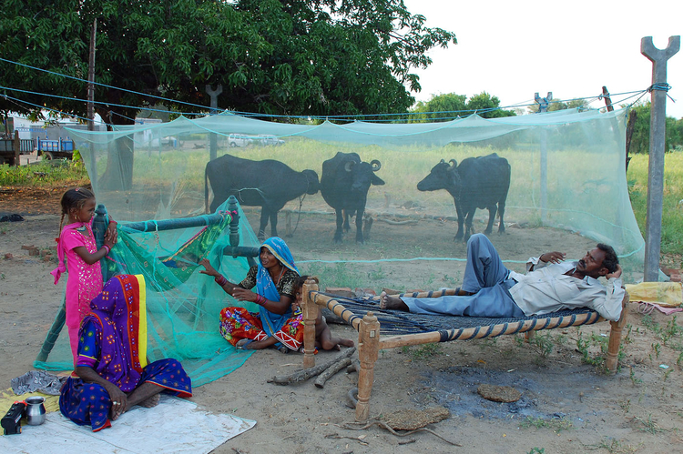 Życie wiejskie w Indiach; fot. Dimple Pancholi