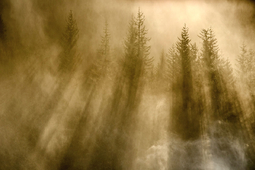 Słońce i poranna mgła - efekt murowany