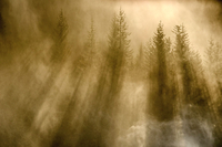 Słońce i poranna mgła - efekt murowany