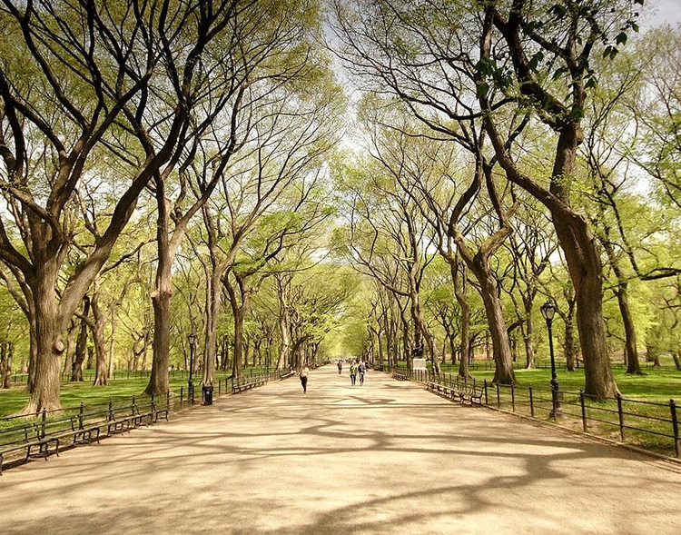 Central Park w Nowym Jorku; fot. James, Flickr